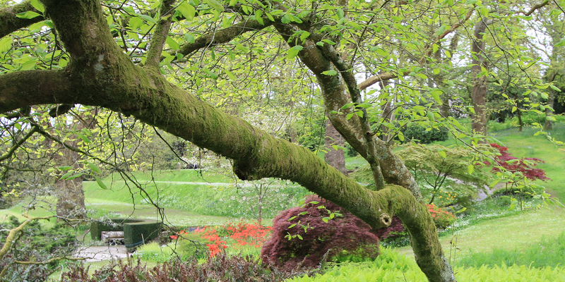 The best way to Plant Having a Rockery