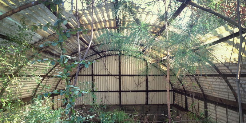 Greenhouses Bring Gardens in From the Cold