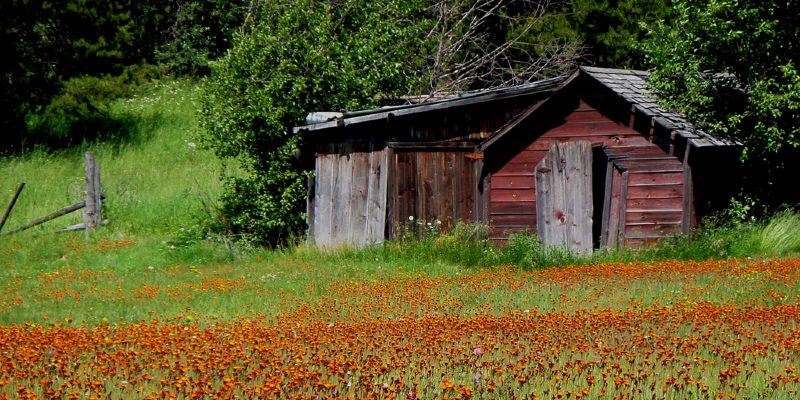 Dig This Garden Shed Makeover for Less Than $300